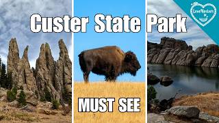 7 things you Can't Miss in Custer State Park: South Dakota Travel Guide