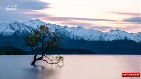 تلاوة تقشعر لها الابدان مزمار من مزامير داوود