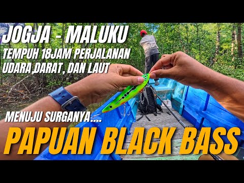 5 DAYS FISHING & EXPLORING WILD RIVERS IN MALUKU😱‼️HUNTING FOR RARE FISH‼️PAPUAN BLACK BASS‼️🔥🔥🔥