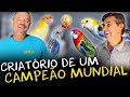 Richard Rasmussen visita criadores da FOB, Federação Ornitológica do Brasil • EP 18