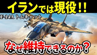 【まだまだ現役！】独自進化を遂げるイランのF-14トムキャット。維持できる理由と知られざる戦果【戦闘機 ゆっくり解説】