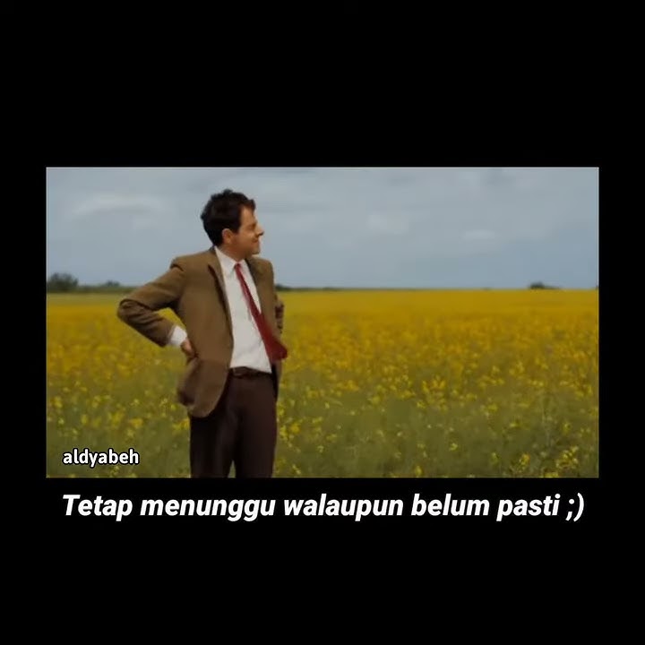 Story WA - Happy (mr.bean)