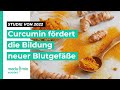 Kurkuma Studie 2022 So Hilft Curcumin Bei Der Bildung Von Blutgefäßen Kurkuma Studie 2022 So Hilft Curcumin Bei Der Bildung Von Blutgefäßen