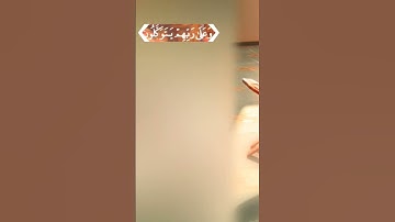 آيات قرآنيه تريح قلبك بصوت الشيخ فارس عباد