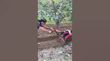 Trencher Micro-tillage machine Save time, effort, and labor. A good helper for farmers.