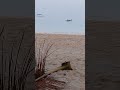 Beach Beachlifeisthebestlife Musiclyrics Boracaybeach Travel Waves Beach Beachlifeisthebestlife Musiclyrics Boracaybeach Travel Waves