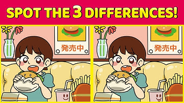 Spot The 3 Differences | Japanese Pictures #19