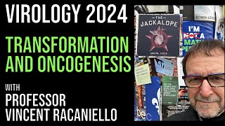 Virology Lectures 2024 #18: Transformation and Oncogenesis