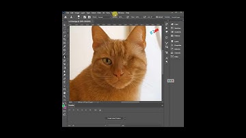 Open the Closed Eye in Photoshop