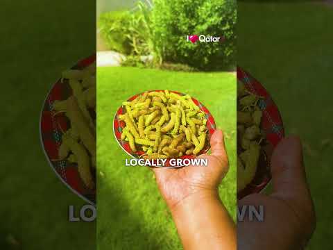 Have You Tried These Mulberries In Qatar