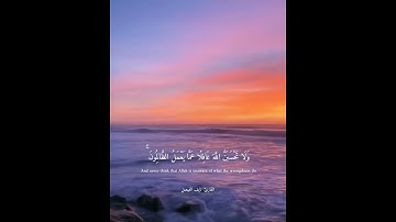 تلاوة خاشعة للقارئ نايف الفيصل من سورة إبراهيم الآية ( 42_43 )