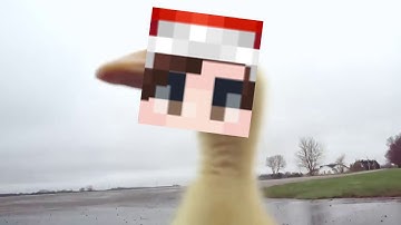 Speed III de Cimarcoz28.