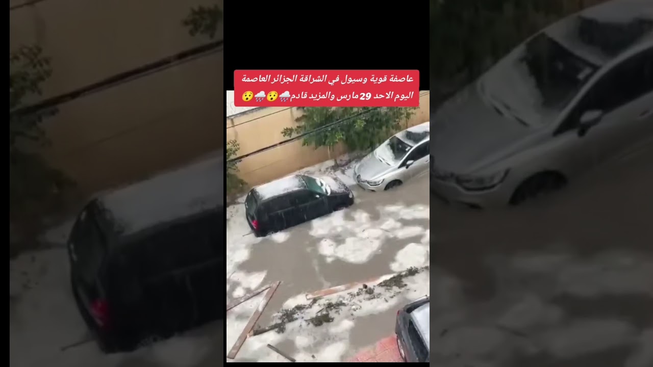 أحوال الطقس اليوم