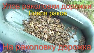 Раколовка дорожка НОВАЯ, реальный улов