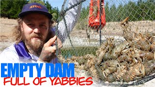 My BIGGEST Haul of Yabbies | EMPTY Dam Full of Yabbies screenshot 4