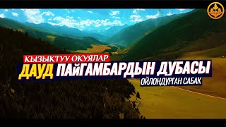 ДАУД ПАЙГАМБАРДЫН ДУБАСЫ. (кызыктуу окуялар)   Шейх Чубак ажы