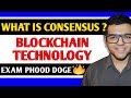 ब्लॉकचेन में सर्वसम्मति: आसान हिंदी में समझें 🛡️