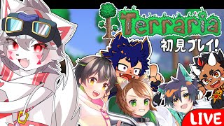 【Terraria】洞窟探検しまくるｿﾞ～！#2【狼ケモ系Vtuber】