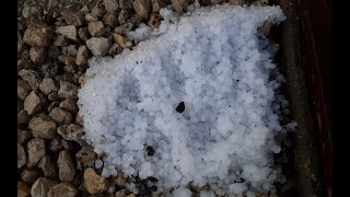 Orage De Grêle Modéré | Tour-en-Sologne (41) | 3 Mai 2024