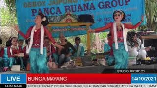 Skil tari Mewah Live Panca Buana, Suka Maju, Bunga Mayang. 14/10/2021.
