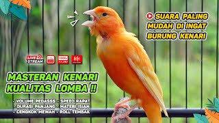 Masteran Kenari PAUD \u0026 Pancingan Kenari MACET BUNYI‼️ Terapi AMPUH Bikin Kenari GACOR (Episode 23)