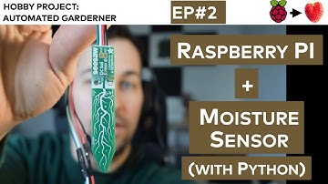 Raspberry PI + Moisture Sensor with Python (wiring, code, step-by-step walk-through)