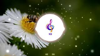 Slideshow Music | No Copyright Light Piano & Background Music screenshot 2