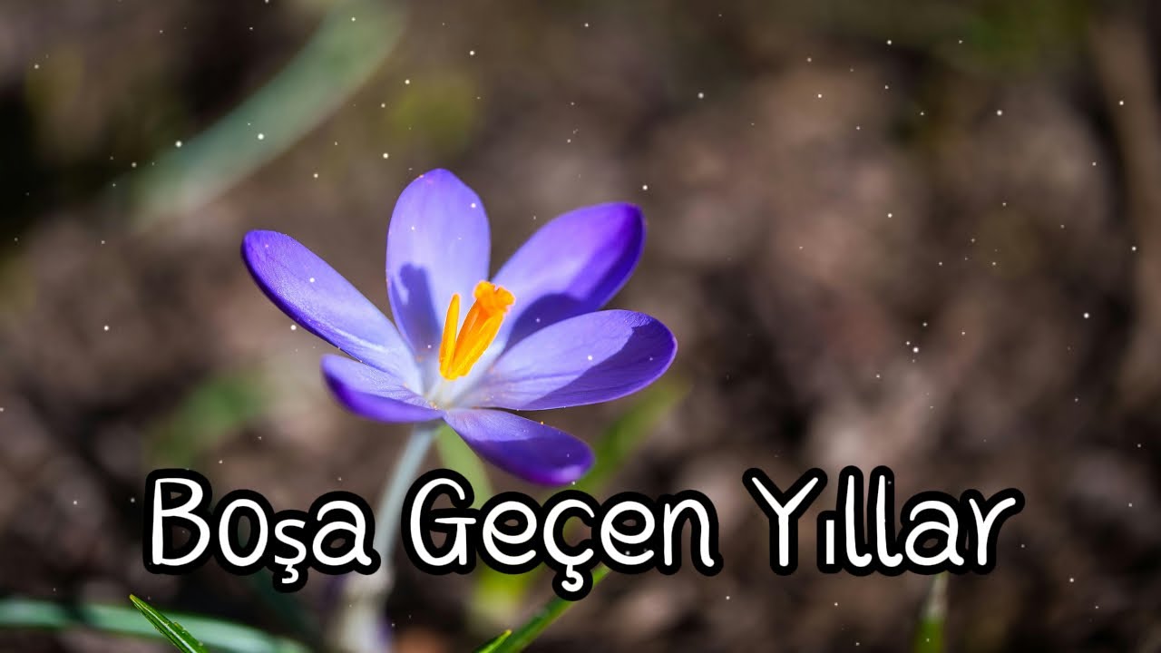 在 YouTube 上觀看「Düş Sokağı - Boşa Geçen Yıllar [ enstrümantal ]」