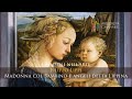 Simbologia della Lippina - Filippo Lippi