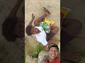 #surajroxfunnyvibeo #khyagajba he yll #comedyshorts #ytshorts #shortvideo #funny #comedy #🤣🤣