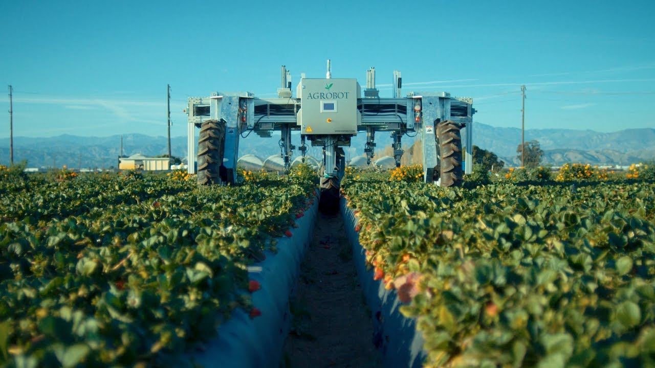 AGROBOT Robotic Strawberry Harvester - YouTube