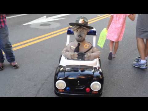 funny-talking-police-dog-prank