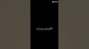 سوره الحديد بصوت الشيخ عبد الرحمن مسعد 😍🤩🤩🤩