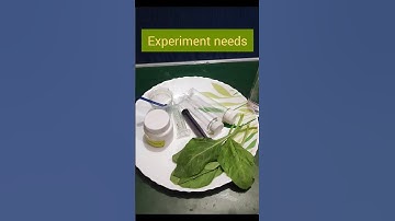 Floating leaf 🌿 experiment #photosynthesis #trendingshorts