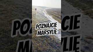 Poznajcie Marsylię #piesek #pieskieżycie #kochampsy #kundelek #petfluencer