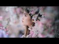 Japanese Cherry Blossom Meditation - Relaxing Music  Zen Relaxation Positive Energy Sleep music  桜咲き