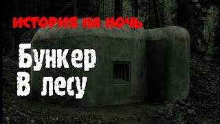 Бункер в лесу часть 1 |История на ночь |Страшилки Бункер в лесу часть 1 |История на ночь |Страшилки