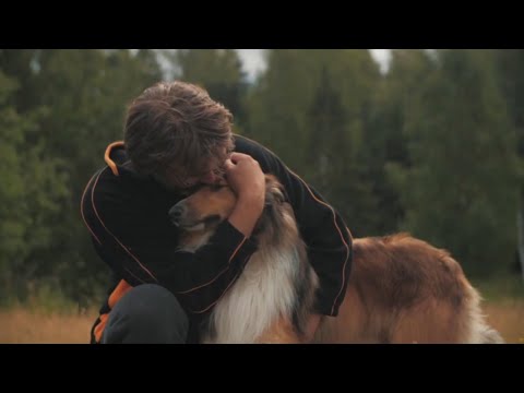 Video: Atšķirība Starp Koliju Un Pierobeļa Koliju