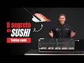 Vetrina refrigerata da banco per sushi e tapas: caratteristiche e funzionamento | Gastrodomus