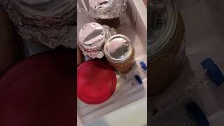 Diy Necrobotic Spider