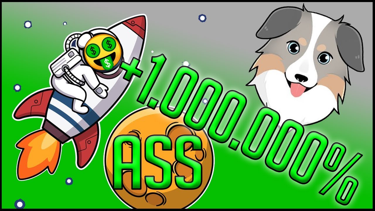 How to buy Australian Safe Shepherd (ASS) Coin on PancakeSwap with