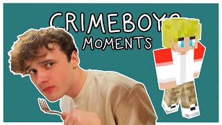 Wilbur Soot and TommyInnit being brothers in the Tom Simons vlogs [Crimeboys moments]