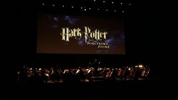 Harry Potter and the Sorcerer