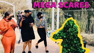 Mive Scares - Mega Laughter Bushman Prank
