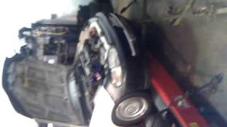 Nastie Garage Daily