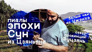 Белый чай. Пиалы, которым более 1000 лет. Провинция Фуцзянь