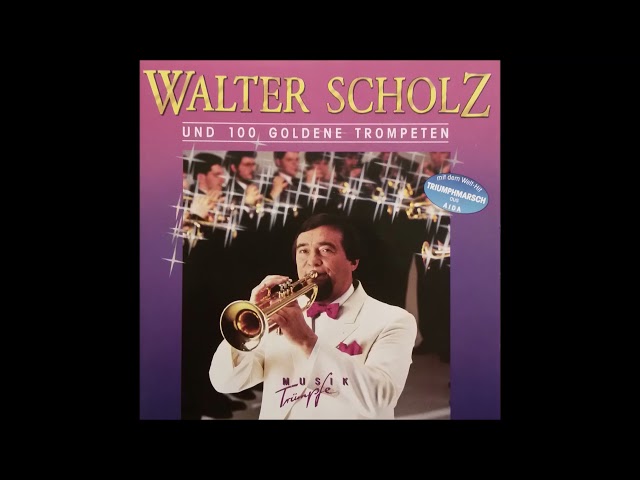 Walter Scholz - Johann-Strauss-Walzer-Medley