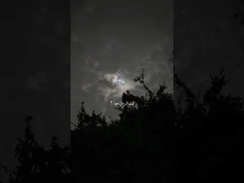 ليت الزمان يعود ياليت يعود