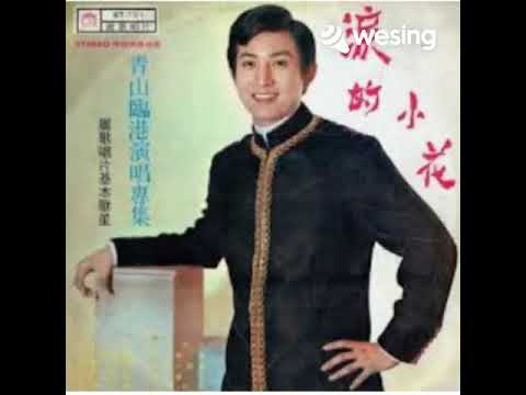 一夜缠绵~青山~小明唱