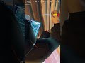 What was he doing?  #fortnite #fortnitetips #trending #gaming